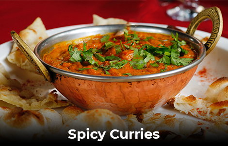 Spicy-Curries-masala grill